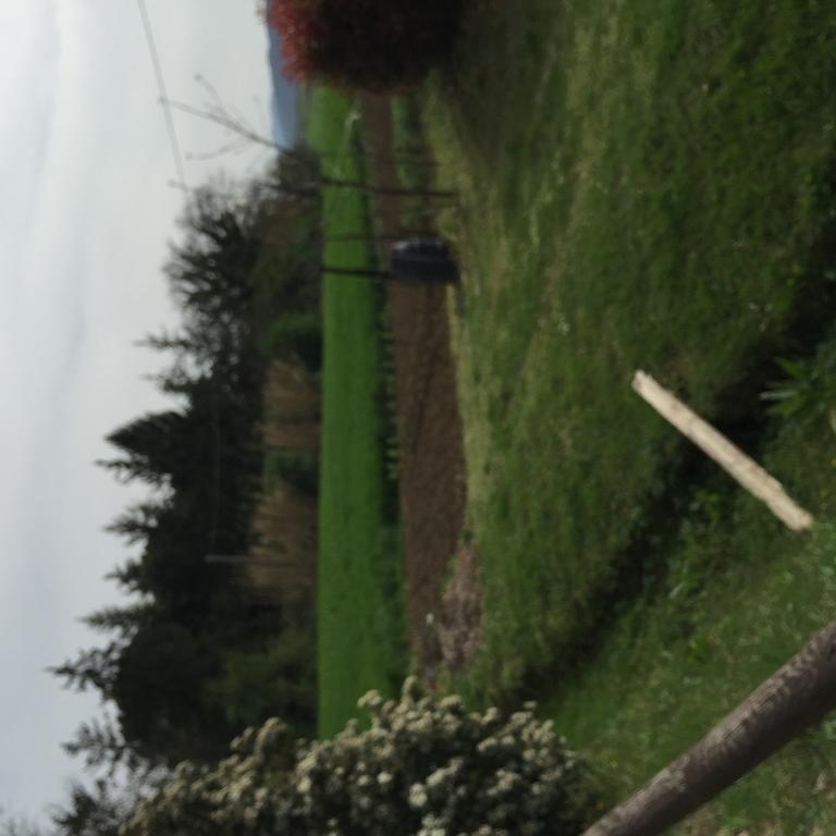 Azienda Agrituristica I Tre Casali 마지오네 외부 사진