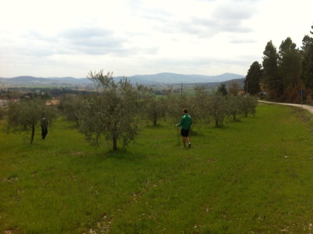 Azienda Agrituristica I Tre Casali 마지오네 객실 사진