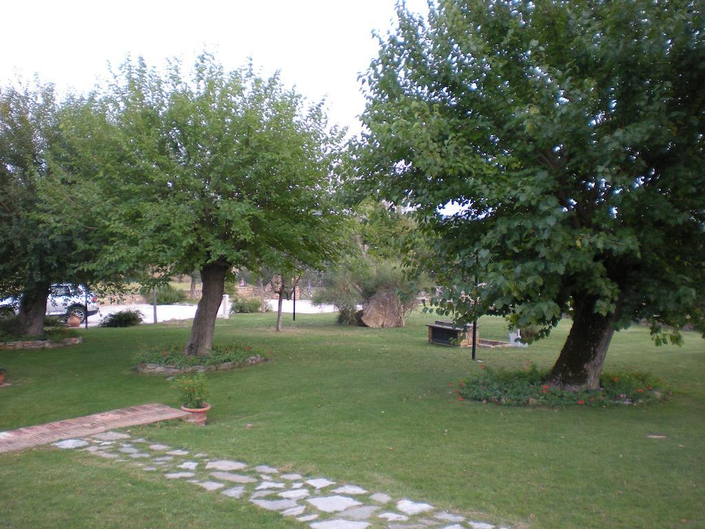 Azienda Agrituristica I Tre Casali 마지오네 객실 사진